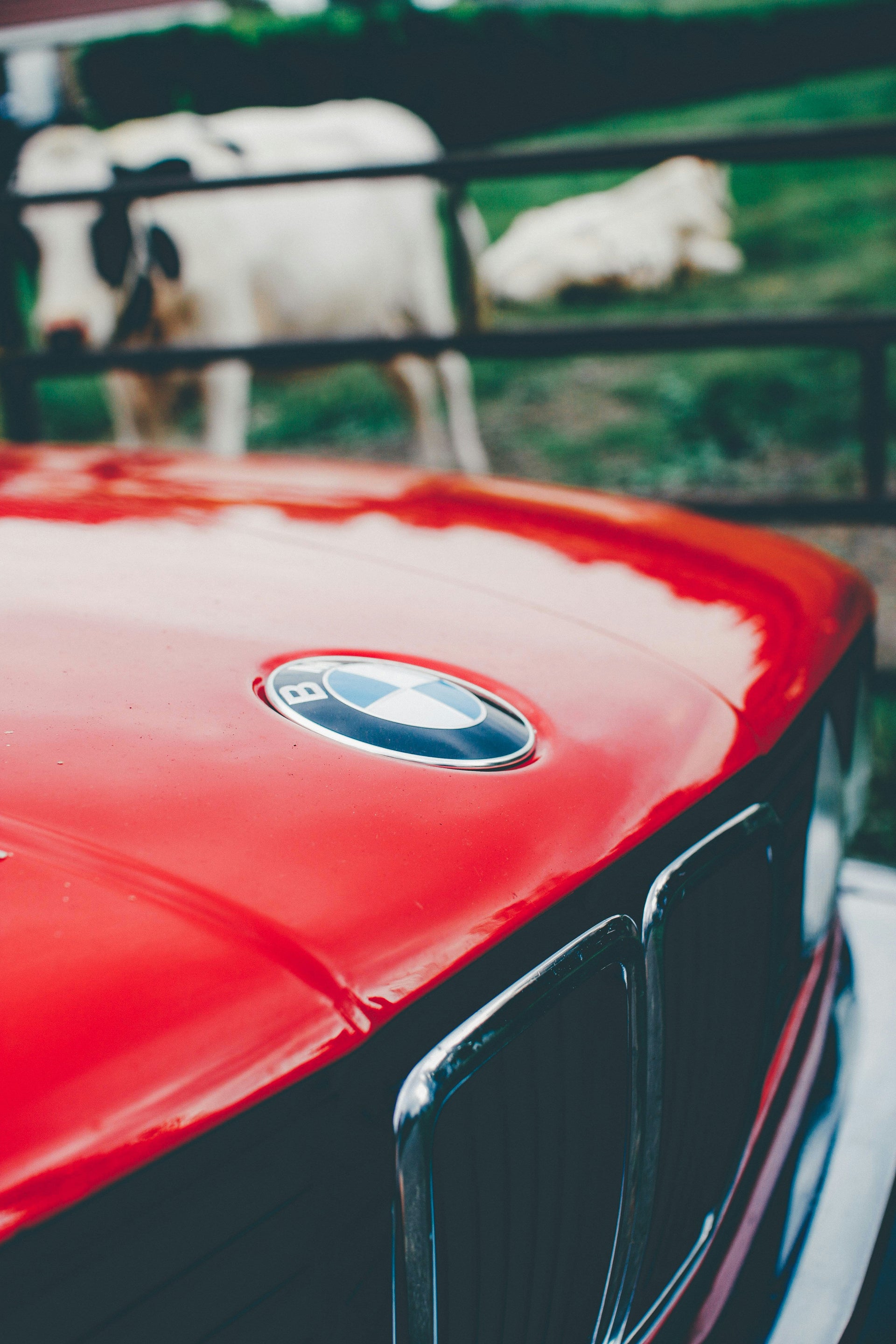 BMW Pflege leicht gemacht – Reinigung, Politur & Innenraumpflege