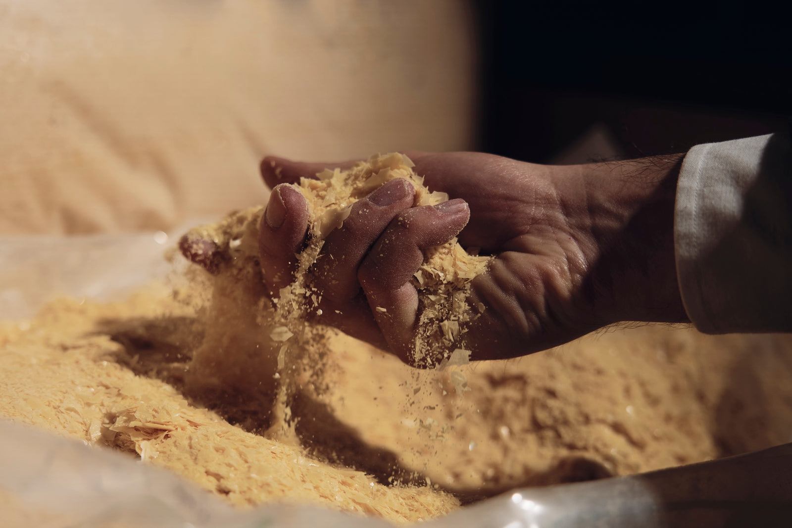 Carnauba – the world's most noble natural wax